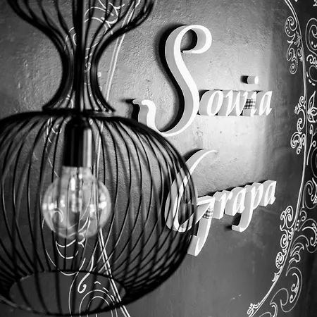 Sowia Grapa Walim Góry Sowie Nocleg ze śniadaniem Rzeczka