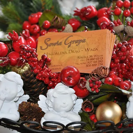 Sowia Grapa Walim Góry Sowie 3*