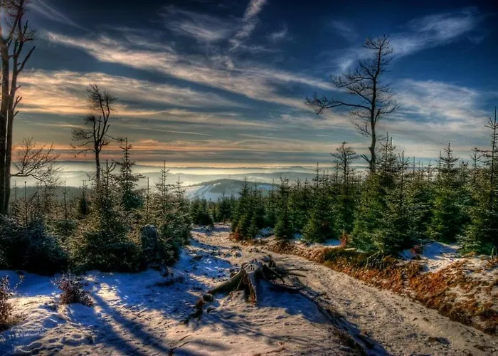 Sowia Grapa Walim Gory Sowie Oda ve Kahvaltı