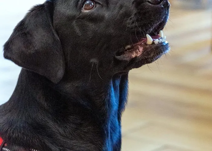 Oda ve Kahvaltı Sowia Grapa Walim Gory Sowie Rzeczka